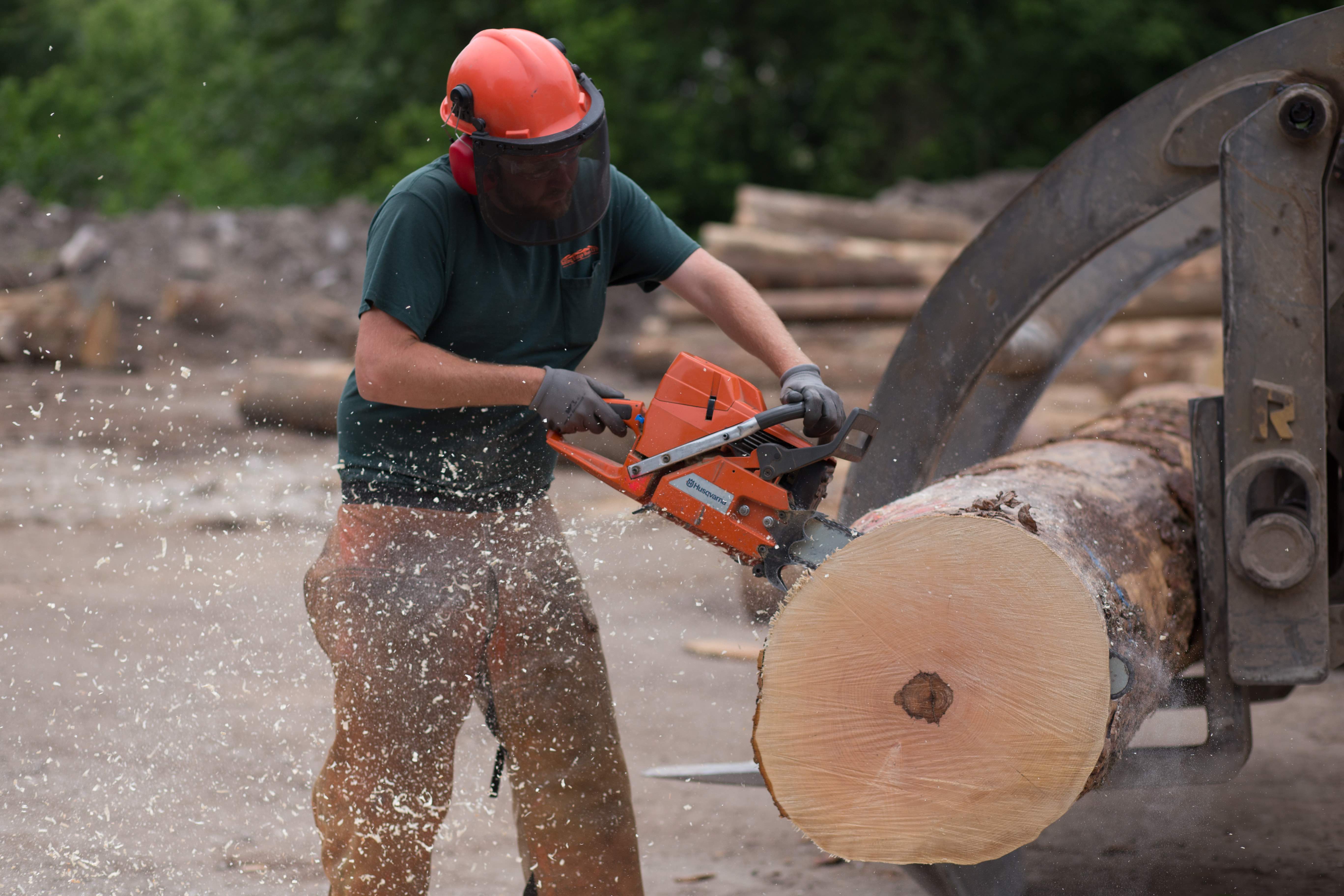 Yoder Lumber Rolling Ridge Woods June 2016 36 of 92 small