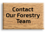 Contact Our Forestry Team