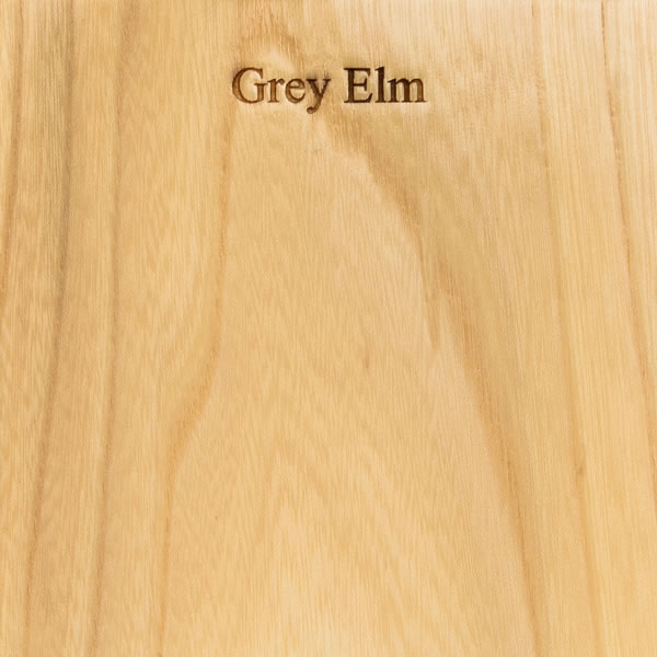 Grey Elm