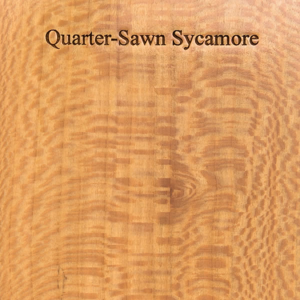 Sycamore