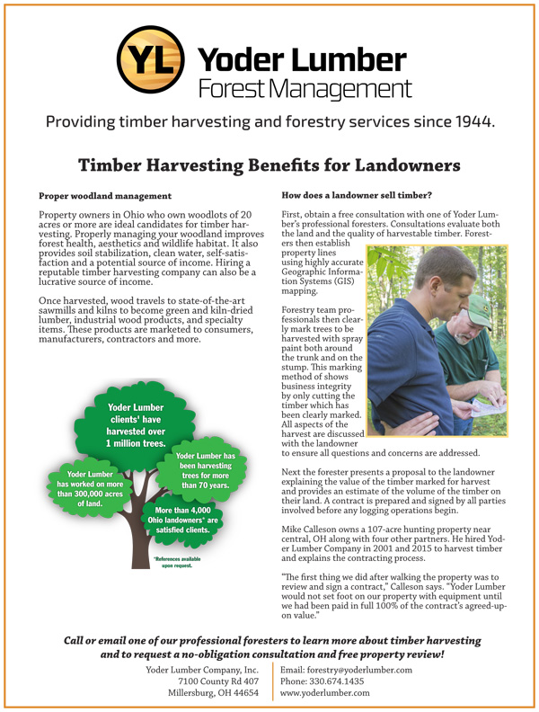 timberharvestingbenefits 1