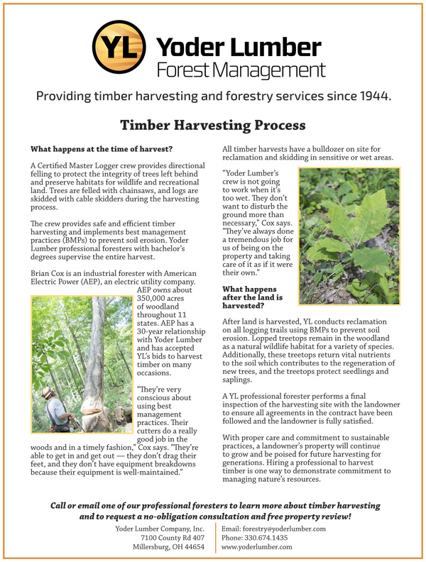 yoderlumbertimberharvestingprocess
