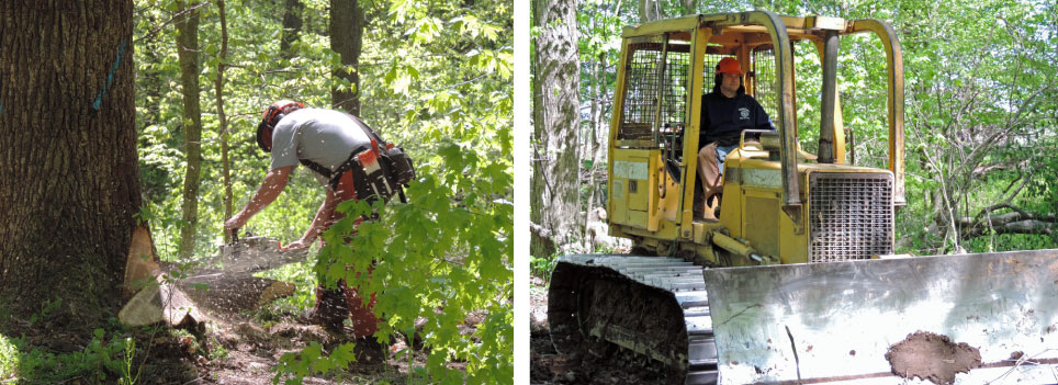 Logging Duo