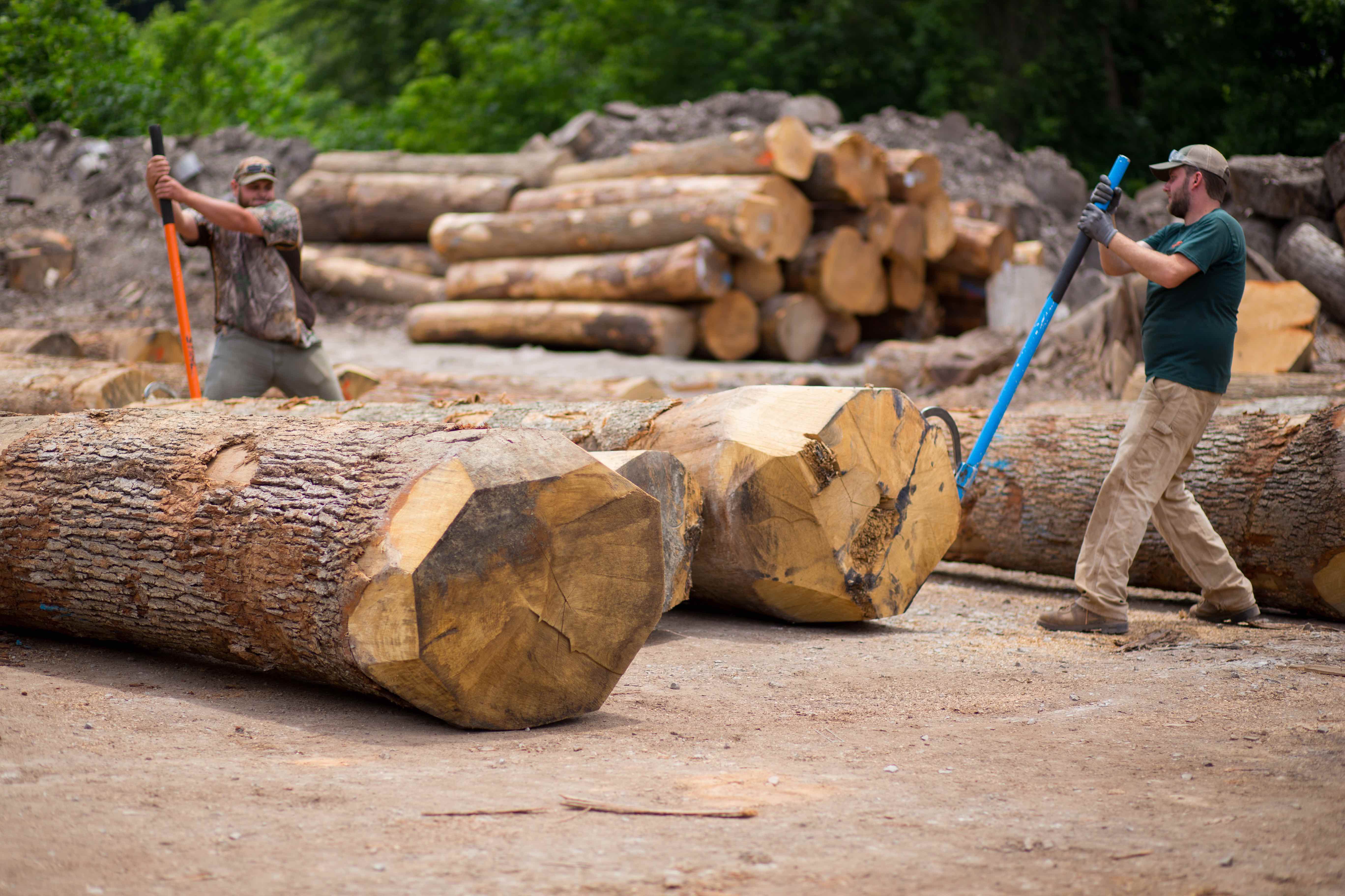 RollingLogs