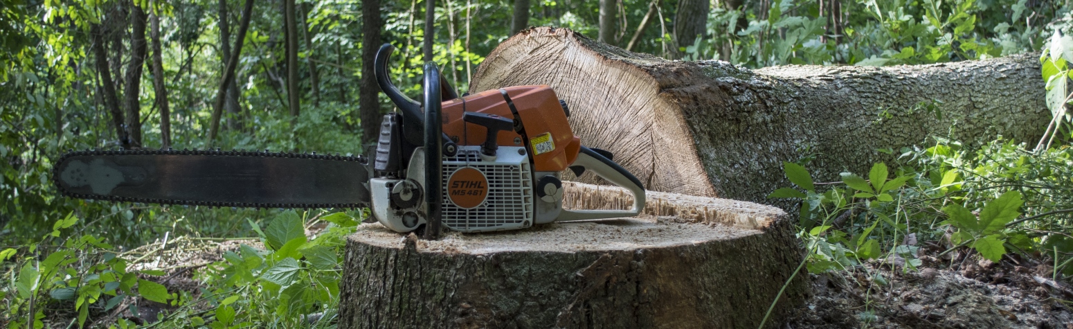 ForestMgmtHowWeHarvestTimber
