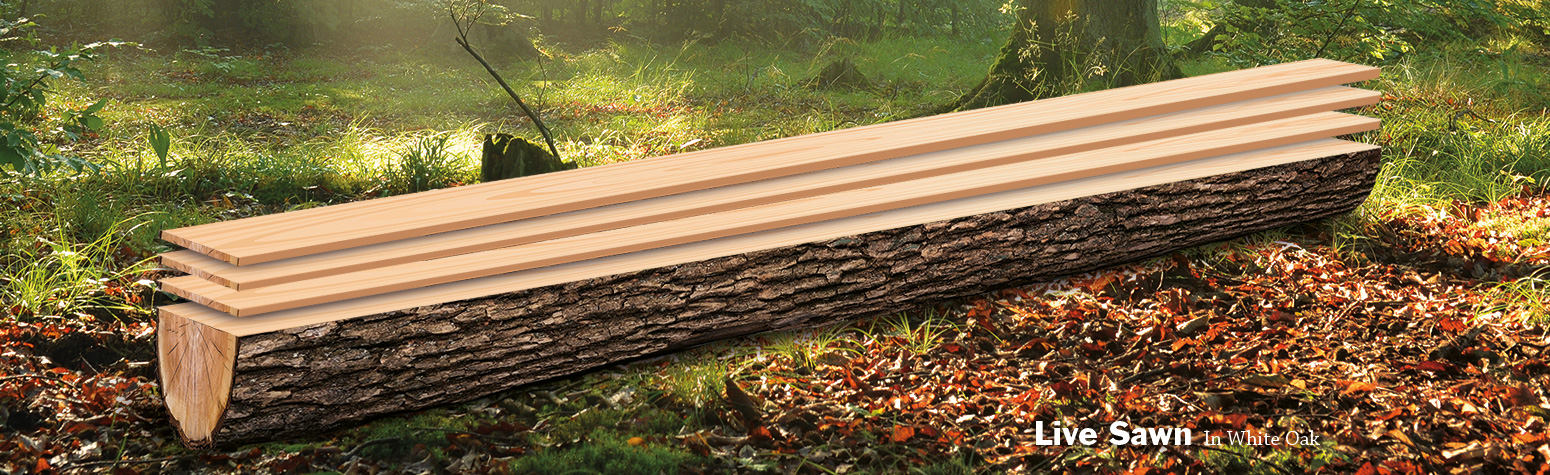Live Sawn Log Graphic Banner