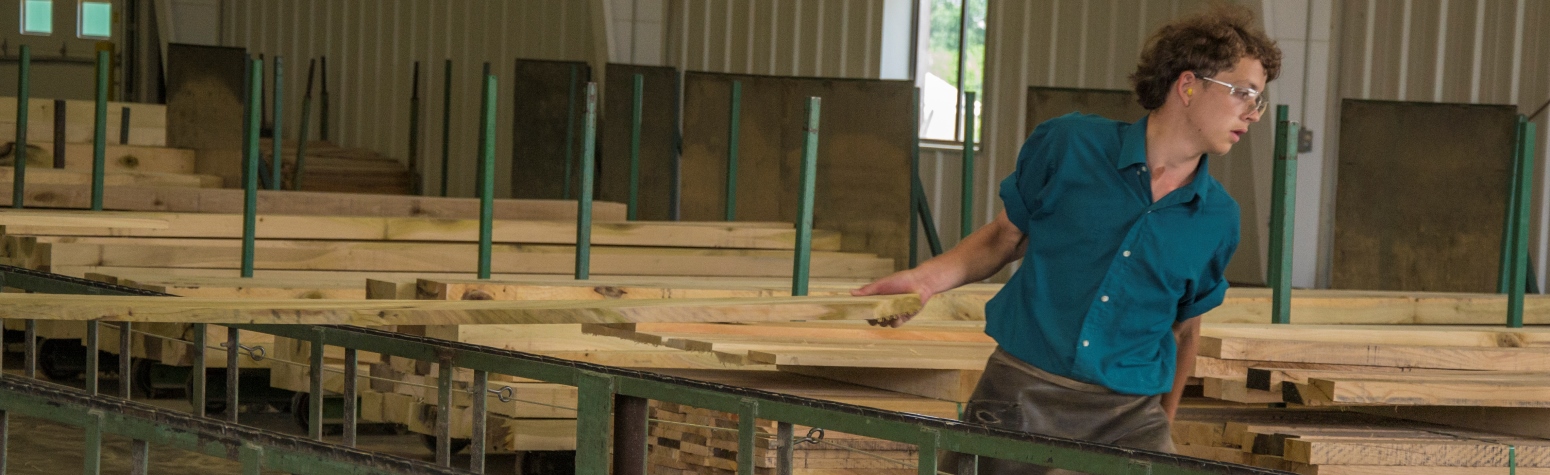 SawmillsKilnsProducts