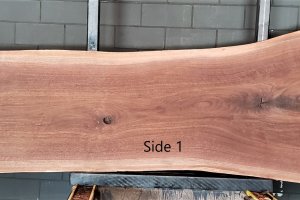 WA-1293