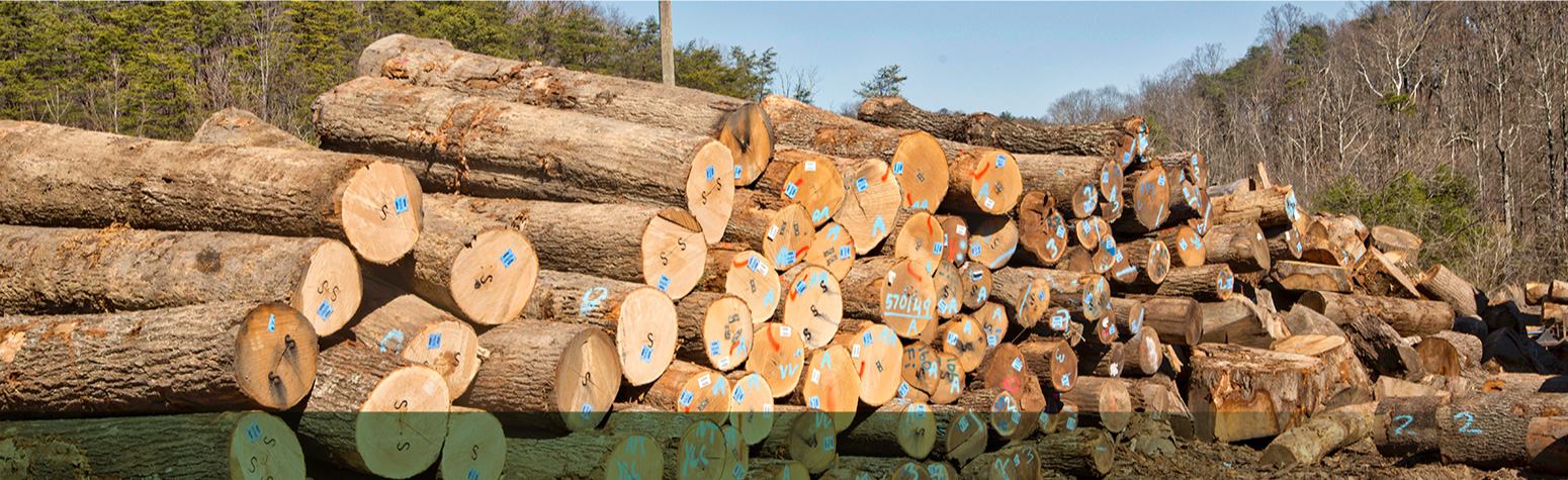 Rolling-Ridge-Wood_Lumber-Yard