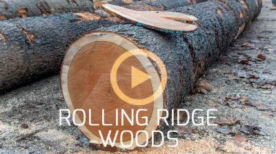 videorollingridgewoodsthumb